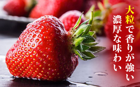 【2026年2月上旬より発送】あまおう 約270g×2 GDS003 あまおう 苺 農家直送 朝採り