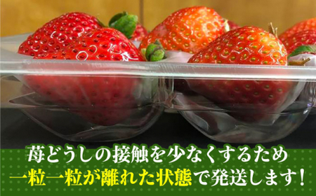 【2026年2月上旬より発送】あまおう 約270g×2 GDS003 あまおう 苺 農家直送 朝採り