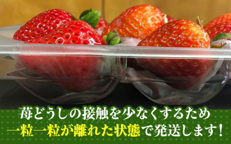 【2026年2月上旬より発送】博多あまおう 約270g×4いちご [GDS004]あまおう 農家直送 