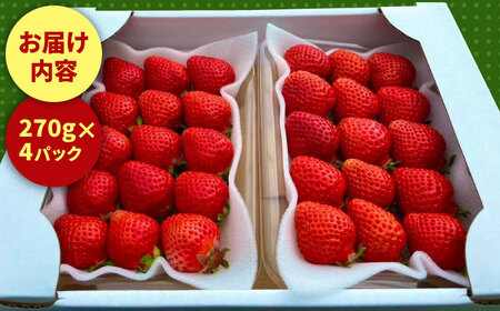 【2026年2月上旬より発送】博多あまおう 約270g×4いちご [GDS004]あまおう 農家直送 