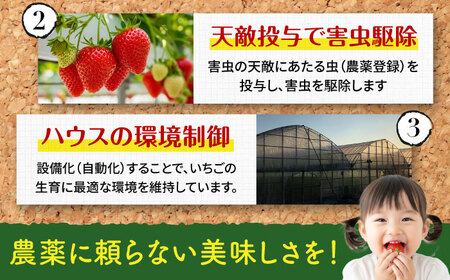 【7営業日以内発送】あまおう 約285g×2P  あまおう GZE001