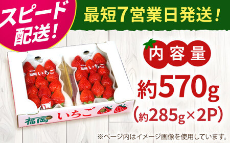 【7営業日以内発送】あまおう 約285g×2P  あまおう GZE001