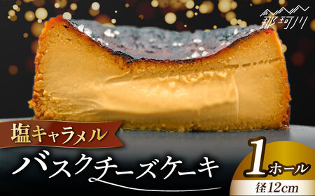 塩キャラメルバスクチーズケーキ 人気ケーキ おいしいケーキ お取り寄せ グルメ送料無料ギフト贈答 那珂川市 GEQ003