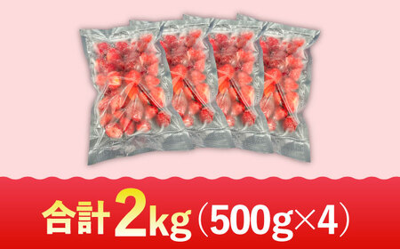 【福岡スイーツ自然の贈り物】かわいい化粧箱入り！！福岡県産冷凍あまおう合計2kg（500g×4袋）＜株式会社BeerO’Clock＞那珂川市 あまおう[GES010]