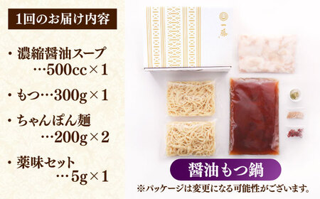 【全12回定期便】もつ鍋一藤 国産黒毛和牛のもつ鍋醤油味 2～3人前＜Smallcompany株式会社＞那珂川市 もつ鍋 [GEX012]