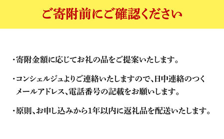 那珂川市 おまかせ 100万円 おまかせ 100万円 100万円 [GZZ024] 1000000 1000000円