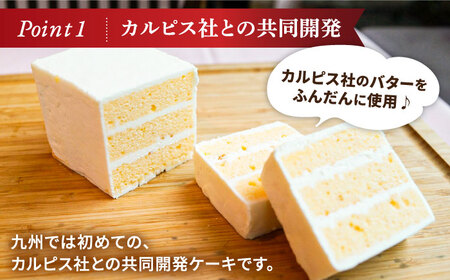 大人気！特選バターケーキ VISAVIS＜株式会社シークス＞那珂川市 バターケーキ バターケーキ バターケーキ バターケーキ バターケーキ [GAU013] 9000 9000円