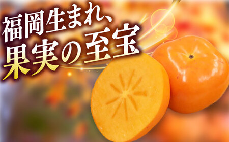 【2026年10月以降発送】福岡より直送！ 種がほとんどない新ブランド 柿 秋王 約3.5kg＜一般社団法人地域商社ふるさぽ＞那珂川市[GBX051]