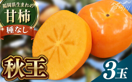 【2026年10月以降発送】柿 秋王 3玉 柿 人気 美味柿 種なし柿[GBX052]