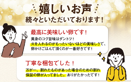 【ふるなびWEEK対象】訳あり 平飼い卵 18個(6個×3p) GAM040 平飼い卵