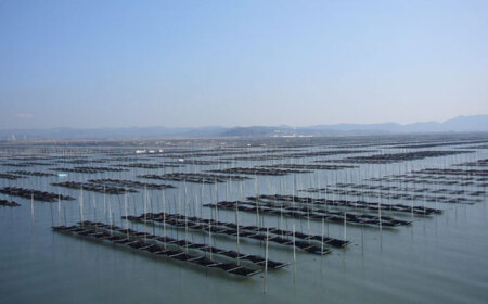 利安堂『海王』一番摘み 福岡有明のり 焼き海苔 5枚×7袋＜株式会社くしだ企画＞那珂川市[GZJ002]