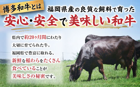 【A4～A5 等級】博多和牛 モモ 焼肉用 800g (400g×2p) ＜ヒサダヤフーズ＞那珂川市[GFY034]