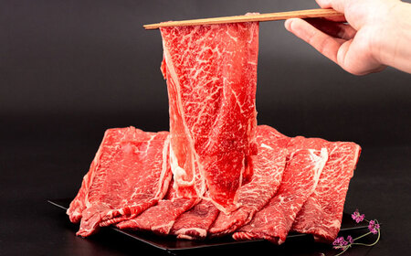 【A4～A5 等級】博多和牛 モモ うす切り 600g ＜ヒサダヤフーズ＞那珂川市[GFY059]