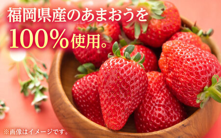 福岡県産 冷凍あまおう500g(250g×2個) ＜木村食品＞ 那珂川市[GFR034]