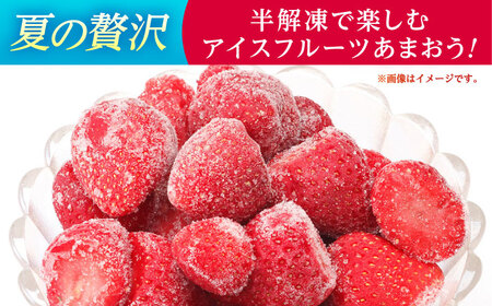 福岡県産 冷凍あまおう500g(250g×2個) ＜木村食品＞ 那珂川市[GFR034]