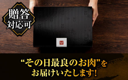 【全12回定期便】博多和牛 食べ比べ 贅沢セット[GDE076] ヒレ ヒレ ヒレ ヒレ ヒレ ヒレ ヒレ ヒレ