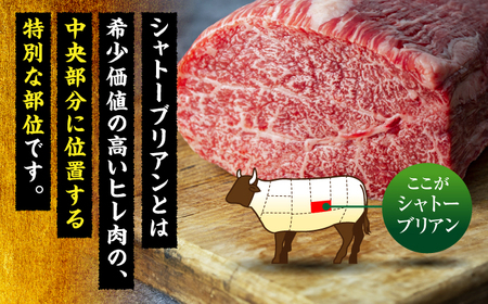 【希少部位！】博多和牛 シャトーブリアン ブロック 1kg ＜肉のくまもと屋＞那珂川市[GBI077]