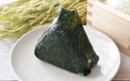 【7営業日以内発送！】福岡有明のり　焼き海苔　2切25枚入×4袋　【合計100枚】[GFR040]