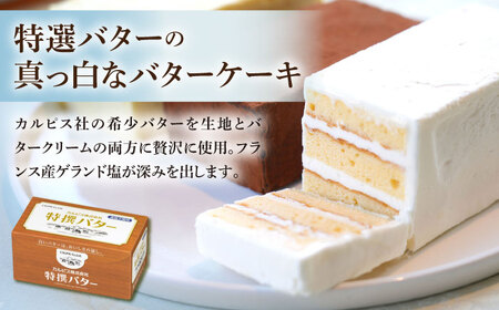 【ふるなびWEEK対象】【大人気バターケーキ入】ケーキ 3種[GAU017]