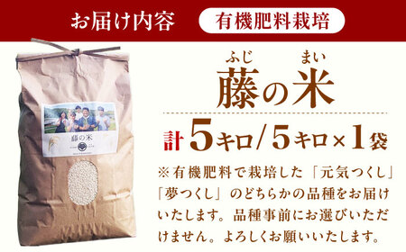 米 令和7年度産 ふじのまい 5kg GCO003 米