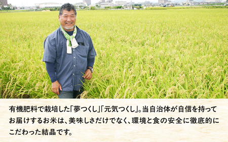 【ふるなびWEEK対象】令和7年度産 米 ふじのまい 10kg(5kg×2) GCO004 米