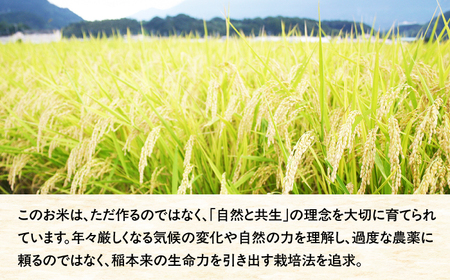 【ふるなびWEEK対象】令和7年度産 米 ふじのまい 10kg(5kg×2) GCO004 米