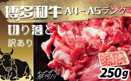 【訳あり】【A4～A5ランク】博多和牛 切り落とし 250g[GFR051]