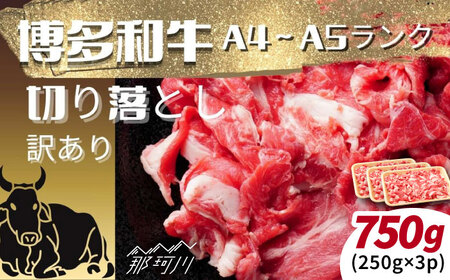 【訳あり】【A4～A5ランク】博多和牛 切り落とし 750ｇ（250g×3個）[GFR053]