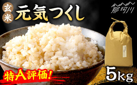 特A評価! 元気つくし【玄米】 5kg＜株式会社ベネフィス＞那珂川市[GED056]