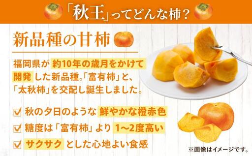 福岡より直送！種がほとんどない新ブランド 柿 秋王 3玉（2026年10月以降発送）