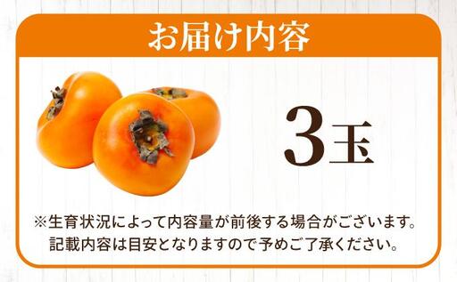 福岡より直送！種がほとんどない新ブランド 柿 秋王 3玉（2026年10月以降発送）