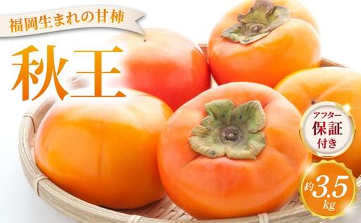 福岡より直送！種がほとんどない新ブランド柿 秋王 約3.5kg（2026年10月以降発送）