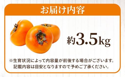 福岡より直送！種がほとんどない新ブランド柿 秋王 約3.5kg（2026年10月以降発送）