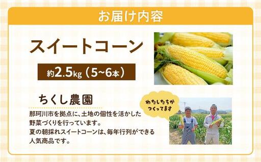 【先行予約】朝採れ スイートコーン 約2.5kg（5～6本入り）2026年5月末より発送