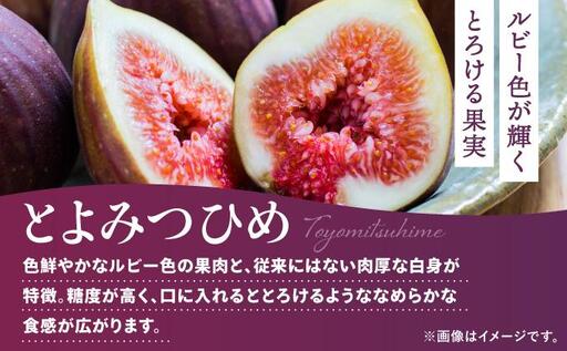 【先行予約】福岡県オリジナル品種 とよみつひめ 約1.2kg（2026年9月以降発送）