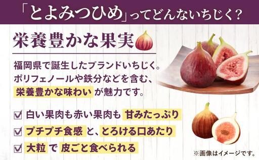 【先行予約】福岡県オリジナル品種 とよみつひめ 約1.2kg（2026年9月以降発送）