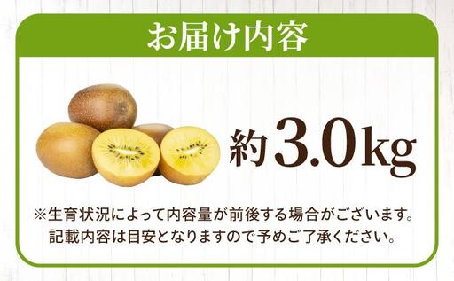 【先行予約】希少 キウイ 甘うぃ 約3kg（2026年11月以降発送）