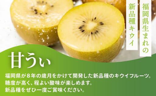 【先行予約】希少 キウイ 甘うぃ 約3kg（2026年11月以降発送）