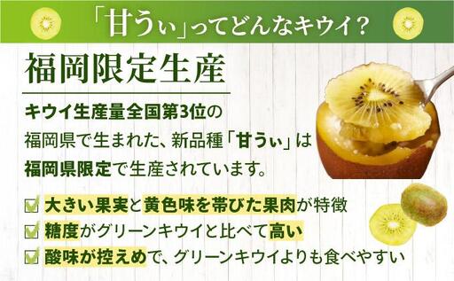 【先行予約】希少 キウイ 甘うぃ 約3kg（2026年11月以降発送）