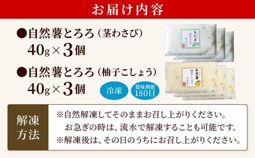自然薯とろろ 茎わさびとろろ/柚子こしょうとろろ 2種セット 各40g×3個 11月上旬から発送