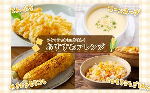 【先行予約】朝採れ スイートコーン 約5kg（10～12本入り）2026年5月末より発送