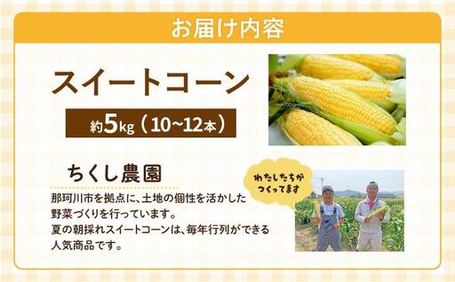 【先行予約】朝採れ スイートコーン 約5kg（10～12本入り）2026年5月末より発送