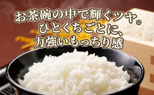 元気つくし 白米10kg