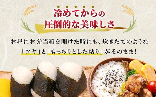 元気つくし 白米10kg