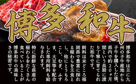 訳あり 【A4～A5】博多和牛 焼肉 切り落とし 肩ロース バラ 500g [MEAT PLUS 福岡県 宇美町 um40azp010029]
