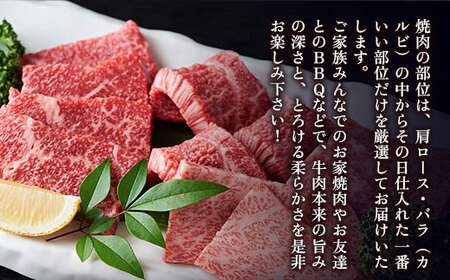 訳あり 【A4～A5】博多和牛 焼肉 切り落とし 肩ロース バラ 500g [MEAT PLUS 福岡県 宇美町 um40azp010029]