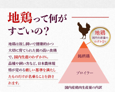 はかた地どり 水炊き 3～4人前 セット [MEAT PLUS 福岡県 宇美町 um40azp010032]