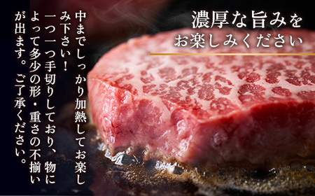 博多和牛 【A4～A5】 モモ ステーキ 100g 5p 約500g [MEAT PLUS 福岡県 宇美町 um40azp010036]