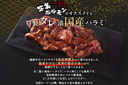 牛肉 焼肉 国産 特製たれ漬 牛ハラミ サガリ 250g [宇美ホルモン 福岡県 宇美町 um40azp100002]