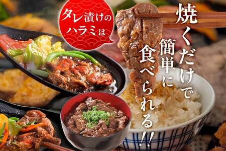 牛肉 焼肉 国産 特製たれ漬 牛ハラミ サガリ 250g [宇美ホルモン 福岡県 宇美町 um40azp100002]